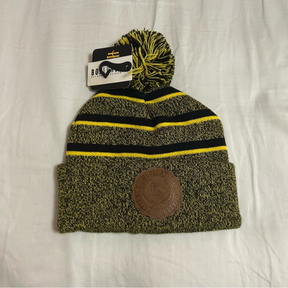 BoxLunch Harry Potter Hufflepuff beanie